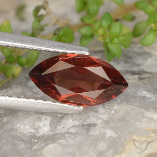 1.14ct طبيعي أحمر غامق عقيق بيروب, ماركيز, قليلا جدا