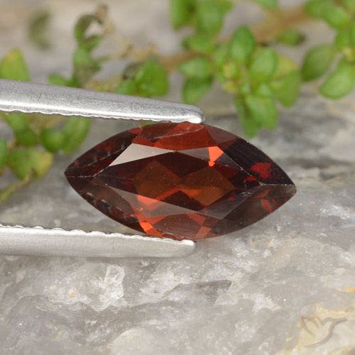 1.25ct طبيعي احمر غامق عقيق بيروب, ماركيز, VVS