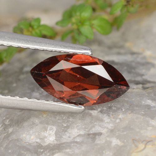1.21ct طبيعي احمر غامق عقيق بيروب, ماركيز, VVS-VS