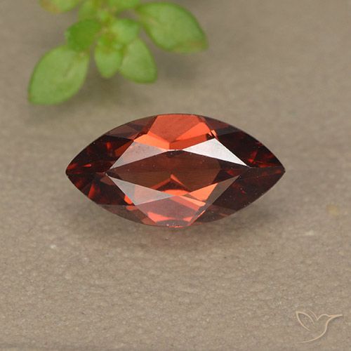 1.31ct طبيعي أحمر غامق عقيق بيروب, ماركيز, VVS-VS