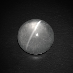 Quartz Cat's Eye طبيعي بلون أبيض، وزن ‎9.02‎ قيراط، شكل دائري، مقاس ‎13.20‎ مم