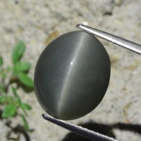 Quartz Cat's Eye طبيعي بلون رمادى داكن، وزن ‎7.96‎ قيراط، شكل بيضاوى، مقاس ‎12.9x10.6‎ مم