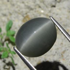 Quartz Cat's Eye طبيعي بلون رمادى داكن، وزن ‎7.96‎ قيراط، شكل بيضاوى، مقاس ‎12.9x10.6‎ مم