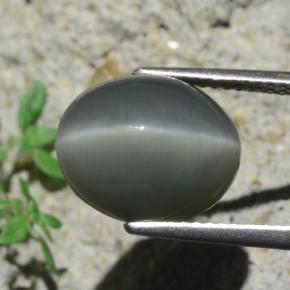 Quartz Cat's Eye طبيعي بلون رمادى داكن، وزن ‎7.96‎ قيراط، شكل بيضاوى، مقاس ‎12.9x10.6‎ مم