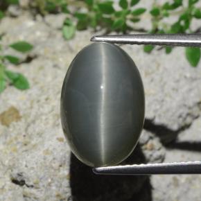 كوارتز عين القط أخضر طبيعي، قصة بيضاوى، 9.07 قيراط، غير شفاف