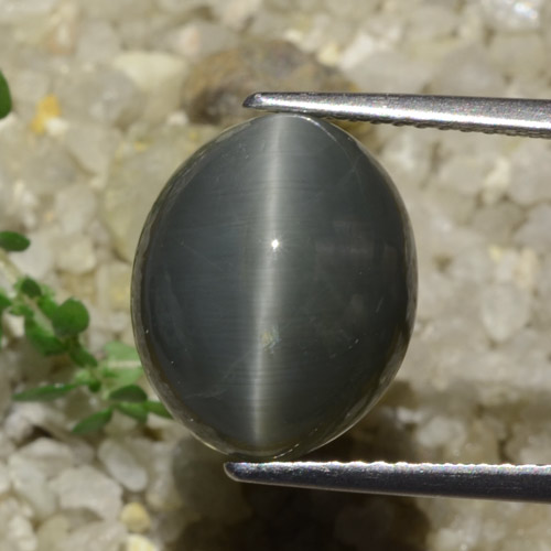 كوارتز عين القط رمادى داكن طبيعي، قصة بيضاوى، 7.89 قيراط، غير شفاف