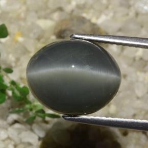 كوارتز عين القط رمادى داكن طبيعي، قصة بيضاوى، 7.89 قيراط، غير شفاف