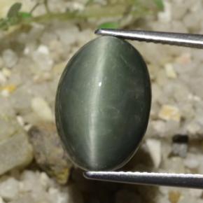 كوارتز عين القط رمادى متوسط طبيعي، قصة بيضاوى، 8.78 قيراط، غير شفاف