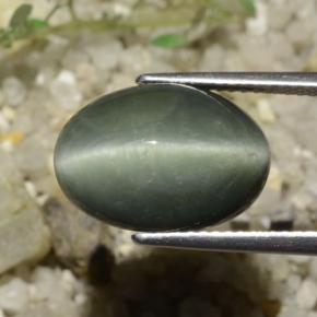 كوارتز عين القط رمادى متوسط طبيعي، قصة بيضاوى، 8.78 قيراط، غير شفاف