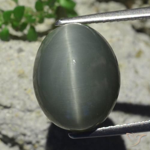 7.28ct طبيعي رمادى مخضر-باهت كوارتز عين القط, بيضوي, غير شفاف