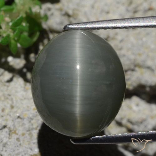 8.02ct طبيعي رمادى مخضر-باهت كوارتز عين القط, بيضوي, غير شفاف