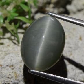 Quartz Cat's Eye طبيعي بلون رمادى مخضر-باهت، وزن ‎6.12‎ قيراط، شكل بيضاوى، مقاس ‎13.5x10‎ مم