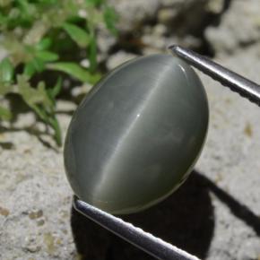 Quartz Cat's Eye طبيعي بلون رمادى مخضر-باهت، وزن ‎6.12‎ قيراط، شكل بيضاوى، مقاس ‎13.5x10‎ مم