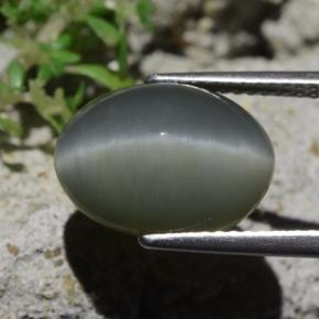 Quartz Cat's Eye طبيعي بلون رمادى مخضر-باهت، وزن ‎6.12‎ قيراط، شكل بيضاوى، مقاس ‎13.5x10‎ مم