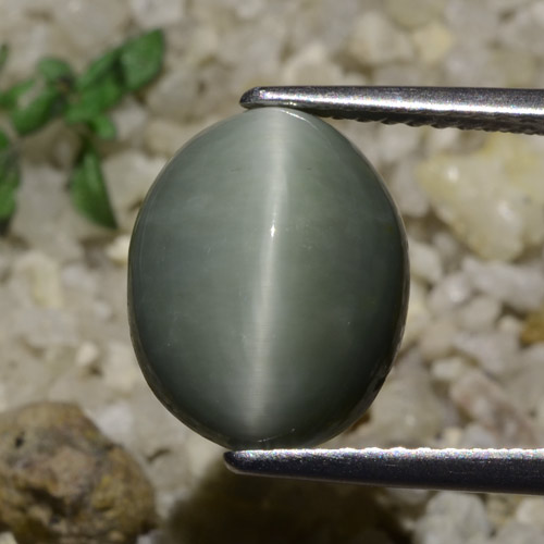 كوارتز عين القط رمادى مخضر طبيعي، قصة بيضاوى، 5.82 قيراط، نصف شفاف