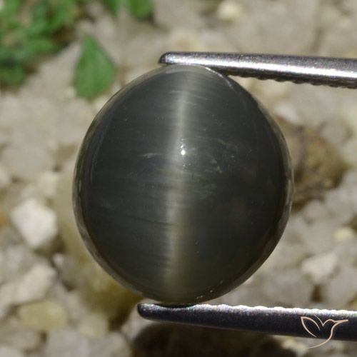 6.05ct طبيعي رمادى فولاذى كوارتز عين القط, بيضوي, غير شفاف