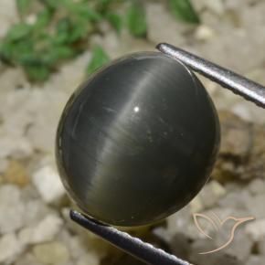 كوارتز عين القط رمادى فولاذى طبيعي، بيضوي، 6.05 قيراط، غير شفاف