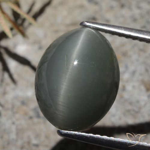 7.32ct طبيعي رمادى داكن كوارتز عين القط, بيضوي, غير شفاف