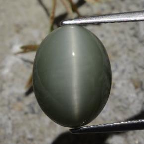 كوارتز عين القط رمادى مخضر طبيعي، قصة بيضاوى، 7.21 قيراط، غير شفاف