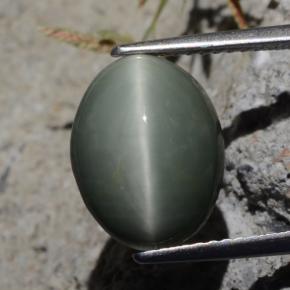 كوارتز عين القط أخضر طبيعي، قصة بيضاوى، 5.29 قيراط، غير شفاف