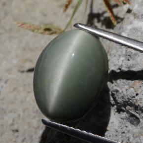 كوارتز عين القط أخضر طبيعي، قصة بيضاوى، 5.29 قيراط، غير شفاف