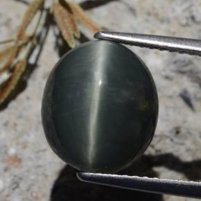 كوارتز عين القط الأخضر الغامق طبيعي، قصة بيضاوى، 6.15 قيراط، غير شفاف