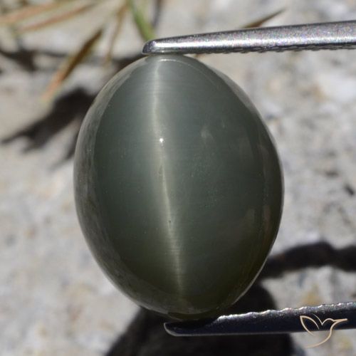 8.10ct طبيعي رمادى داكن كوارتز عين القط, بيضوي, غير شفاف