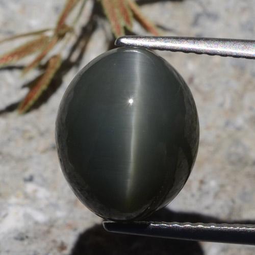 كوارتز عين القط رمادى داكن طبيعي، قصة بيضاوى، 7.26 قيراط، غير شفاف