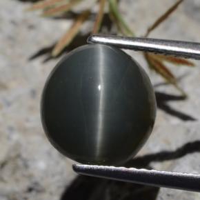 Quartz Cat's Eye طبيعي بلون أخضر، وزن ‎5.62‎ قيراط، شكل بيضاوى، مقاس ‎10.1x9.6‎ مم