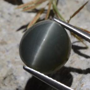 Quartz Cat's Eye طبيعي بلون أخضر، وزن ‎5.62‎ قيراط، شكل بيضاوى، مقاس ‎10.1x9.6‎ مم