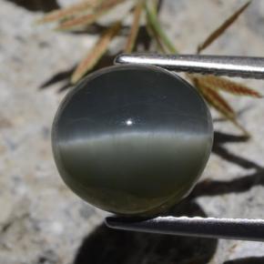 Quartz Cat's Eye طبيعي بلون أخضر، وزن ‎5.62‎ قيراط، شكل بيضاوى، مقاس ‎10.1x9.6‎ مم