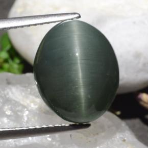 Quartz Cat's Eye طبيعي بلون رمادى متوسط، وزن ‎9.50‎ قيراط، شكل بيضاوى، مقاس ‎13.3x11‎ مم