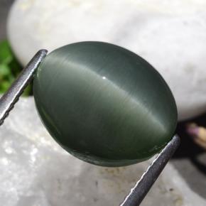 Quartz Cat's Eye طبيعي بلون رمادى متوسط، وزن ‎9.50‎ قيراط، شكل بيضاوى، مقاس ‎13.3x11‎ مم