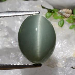 كوارتز عين القط أخضر داكن-متوسط طبيعي، قصة بيضاوى، 7.17 قيراط، غير شفاف