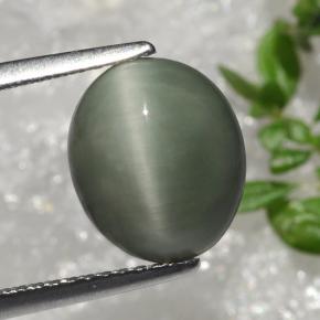 Quartz Cat's Eye طبيعي بلون أخضر، وزن ‎3.66‎ قيراط، شكل بيضاوى، مقاس ‎10.4x8.8‎ مم