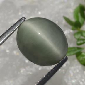 Quartz Cat's Eye طبيعي بلون أخضر، وزن ‎3.66‎ قيراط، شكل بيضاوى، مقاس ‎10.4x8.8‎ مم
