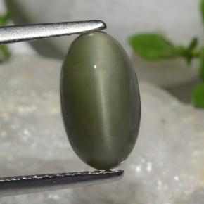 Quartz Cat's Eye طبيعي بلون أخضر، وزن ‎2.64‎ قيراط، شكل بيضاوى، مقاس ‎10.8x6.2‎ مم