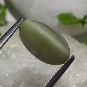 Quartz Cat's Eye طبيعي بلون أخضر، وزن ‎2.64‎ قيراط، شكل بيضاوى، مقاس ‎10.8x6.2‎ مم