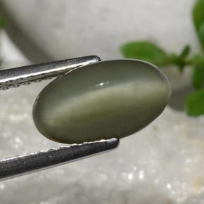 Quartz Cat's Eye طبيعي بلون أخضر، وزن ‎2.64‎ قيراط، شكل بيضاوى، مقاس ‎10.8x6.2‎ مم