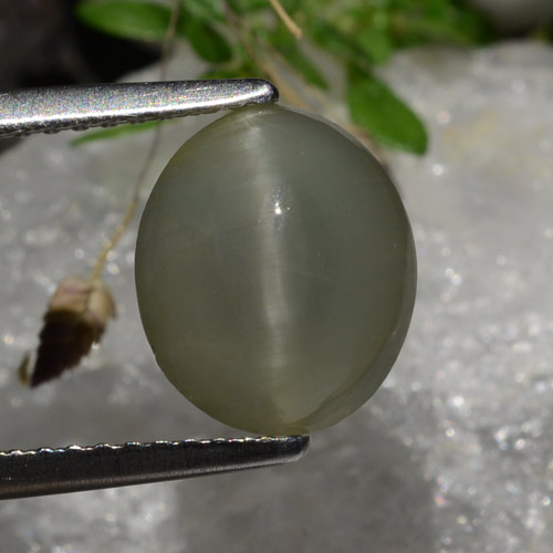 Quartz Cat's Eye طبيعي بلون أسود رمادى، وزن ‎2.99‎ قيراط، شكل بيضاوى، مقاس ‎9.8x8.3‎ مم