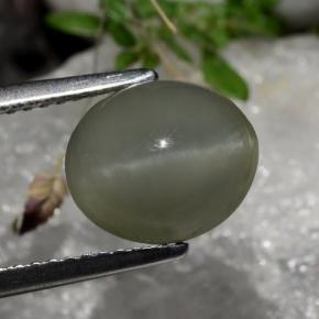 Quartz Cat's Eye طبيعي بلون أسود رمادى، وزن ‎2.99‎ قيراط، شكل بيضاوى، مقاس ‎9.8x8.3‎ مم