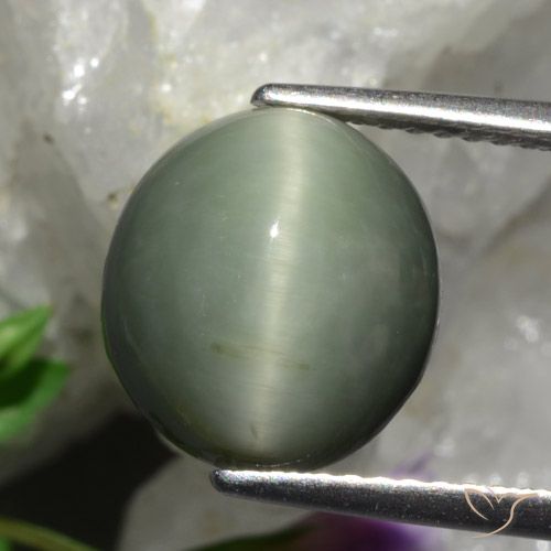 5.48ct طبيعي رمادى متوسط كوارتز عين القط, بيضوي, غير شفاف