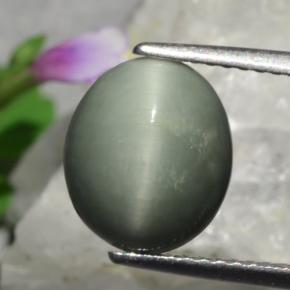 Quartz Cat's Eye طبيعي بلون رمادى متوسط، وزن ‎3.01‎ قيراط، شكل بيضاوى، مقاس ‎10.3x8.8‎ مم