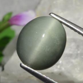 Quartz Cat's Eye طبيعي بلون رمادى متوسط، وزن ‎3.01‎ قيراط، شكل بيضاوى، مقاس ‎10.3x8.8‎ مم