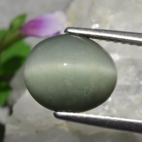 Quartz Cat's Eye طبيعي بلون رمادى متوسط، وزن ‎3.01‎ قيراط، شكل بيضاوى، مقاس ‎10.3x8.8‎ مم