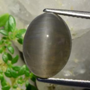 Quartz Cat's Eye طبيعي بلون بنى فول السودانى، وزن ‎5.37‎ قيراط، شكل بيضاوى، مقاس ‎12.3x9.2‎ مم