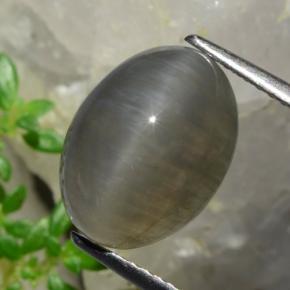 Quartz Cat's Eye طبيعي بلون بنى فول السودانى، وزن ‎5.37‎ قيراط، شكل بيضاوى، مقاس ‎12.3x9.2‎ مم