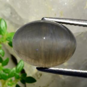 Quartz Cat's Eye طبيعي بلون بنى فول السودانى، وزن ‎5.37‎ قيراط، شكل بيضاوى، مقاس ‎12.3x9.2‎ مم