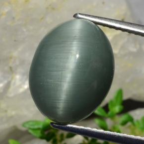 كوارتز عين القط أخضر طبيعي، قصة بيضاوى، 8.20 قيراط، غير شفاف