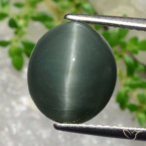 كوارتز عين القط رمادى مخضر طبيعي، قصة بيضاوى، 5.66 قيراط، غير شفاف